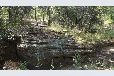 1685 Rocky Mound Road, Graham, TX 76450 - Photo 9