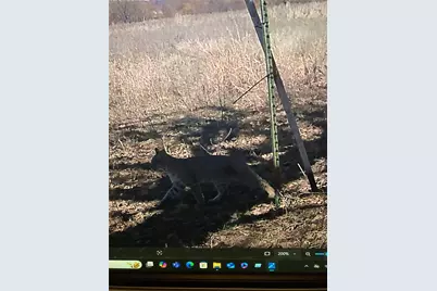 1685 Rocky Mound Road, Graham, TX 76450 - Photo 39