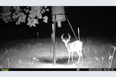 1685 Rocky Mound Road, Graham, TX 76450 - Photo 35