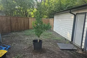 9911 Ferguson Rd, Dallas, TX 75228 - Photo 15