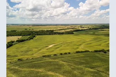 11 Acres County Rd 3150, Hubbard, TX 76648 - Photo 9