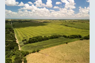 11 Acres County Rd 3150, Hubbard, TX 76648 - Photo 13