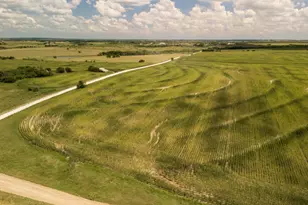 11 Acres County Rd 3150, Hubbard, TX 76648 - Photo 1