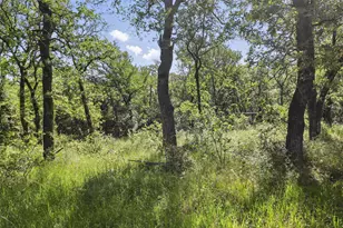 1643 Lacy Dr, Lipan, TX 76462 - Photo 37