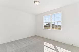 1309 Corleone Ln, Celina, TX 75009 - Photo 19