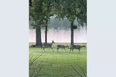 405 Lcr 737, Thornton, TX 76687 - Photo 15