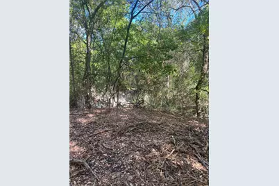 Tbd Rochelle Cannon Road, Whitewright, TX 75491 - Photo 13