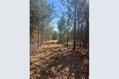 Tbd Rochelle Cannon Road, Whitewright, TX 75491 - Photo 7