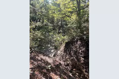 Tbd Rochelle Cannon Road, Whitewright, TX 75491 - Photo 9