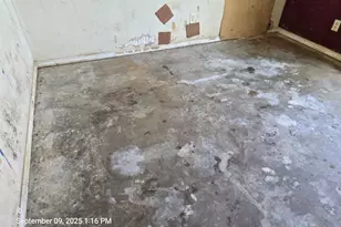 803 Harbor Point Rd, Gun Barrel City, TX 75156 - Photo 15