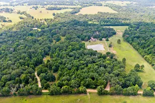 253 Co Rd 2412, Winnsboro, TX 75471 - Photo 5