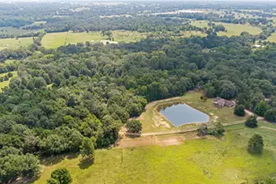 253 Co Rd 2412, Winnsboro, TX 75471 - Photo 3