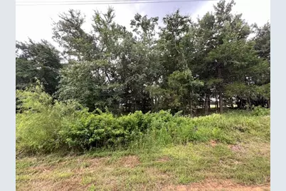 53 Pine Hills Lane, Gordonville, TX 76245 - Photo 9