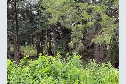 53 Pine Hills Lane, Gordonville, TX 76245 - Photo 7