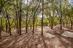 354 Rolling Oaks Ridge, Cedar Hill, TX 75104 - Photo 37