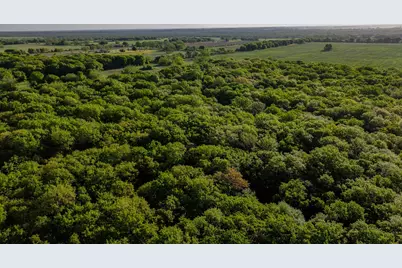 Tbd Fm 103, Nocona, TX 76255 - Photo 23