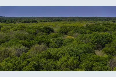 Tract 2 Rock Springs School Rd, Montague, TX 76251 - Photo 5