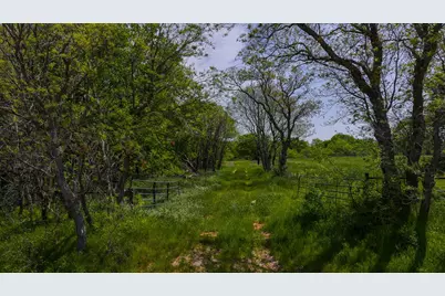 Tract 4 Rock Springs School Rd, Montague, TX 76251 - Photo 13