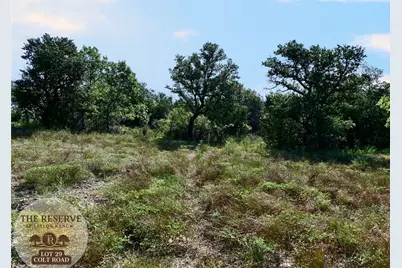 Lot 29 Colt- Road, Springtown, TX 76082 - Photo 3