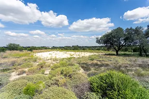 127 Gilmore Ct, Lipan, TX 76462 - Photo 1