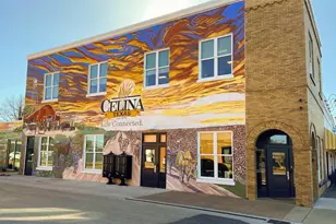 3810 Pandora Dr, Celina, TX 75009 - Photo 3