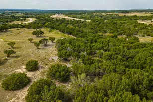 1104 Cedar Hl Dr, Nemo, TX 76070 - Photo 23