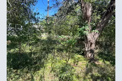 Tbd County Road 1701, Clifton, TX 76634 - Photo 5