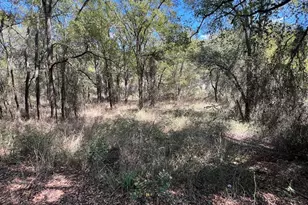 Tbd County Road 1701, Clifton, TX 76634 - Photo 9