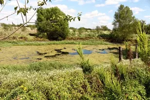 13507 Plain Ln, Kemp, TX 75143 - Photo 31