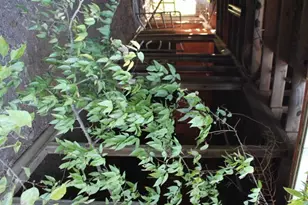 13507 Plain Ln, Kemp, TX 75143 - Photo 29