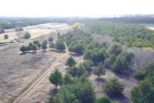 Cr 656 County Road 656, Farmersville, TX 75442 - Photo 1