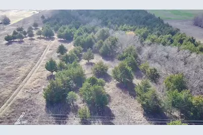 Cr 656 County Road 656, Farmersville, TX 75442 - Photo 5