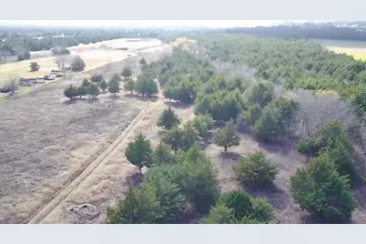 Cr 656 County Road 656, Farmersville, TX 75442 - Photo 7