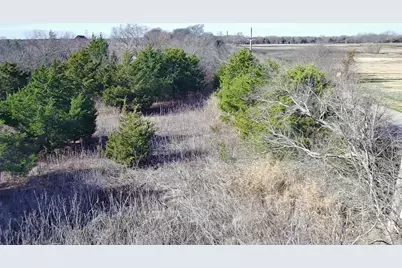 Cr 656 County Road 656, Farmersville, TX 75442 - Photo 3
