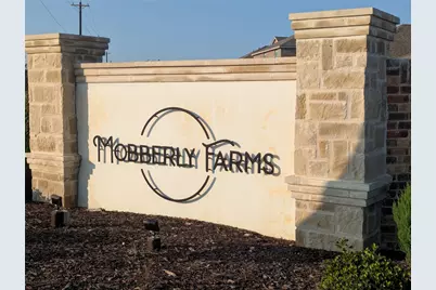 14109 Kempt Drive, Pilot Point, TX 76258 - Photo 37