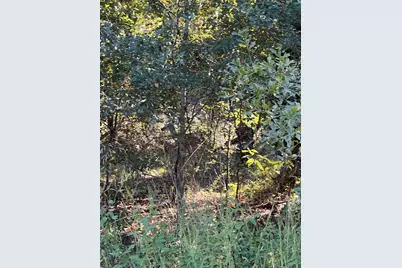 291 Buena Vista, Malakoff, TX 75148 - Photo 3