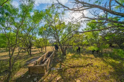 2455 County Road 699, Lometa, TX 76853 - Photo 31