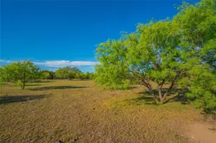 2455 County Road 699, Lometa, TX 76853 - Photo 35