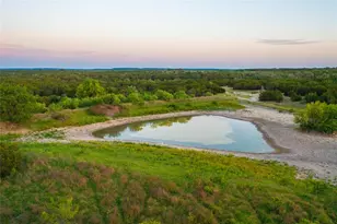 2455 County Road 699, Lometa, TX 76853 - Photo 5
