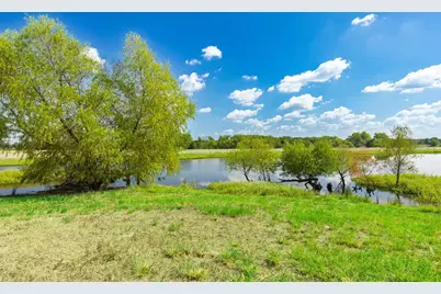 31 Acres Texas Highway 19 S, Brashear, TX 75420 - Photo 15