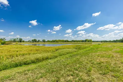 31 Acres Texas Highway 19 S, Brashear, TX 75420 - Photo 13