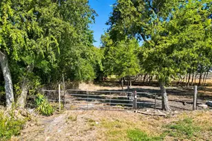 Tbd Off Fm 3427, Wolfe City, TX 75496 - Photo 1