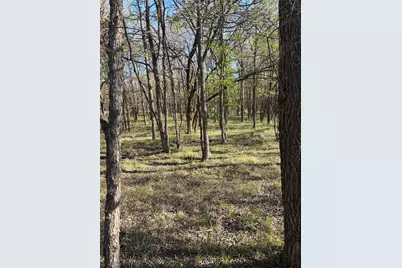 Na C.R. 3660, Ladonia, TX 75449 - Photo 5