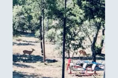 4674 Azle Highway, Weatherford, TX 76085 - Photo 33