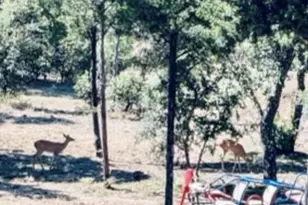 4674 Azle Hwy, Weatherford, TX 76085 - Photo 33