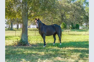 3900 SW Loop 7, Athens, TX 75751 - Photo 9