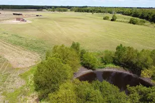 2055 Co Rd 2185, Klondike, TX 75448 - Photo 3