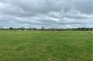 14803 Fm 322, Elkhart, TX 75839 - Photo 7