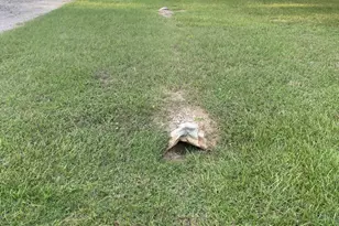 41And42 Lisa Ln, Streetman, TX 75859 - Photo 1