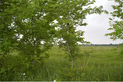 Tbd Lot 2 Rs County Road 1520, Point, TX 75472 - Photo 3